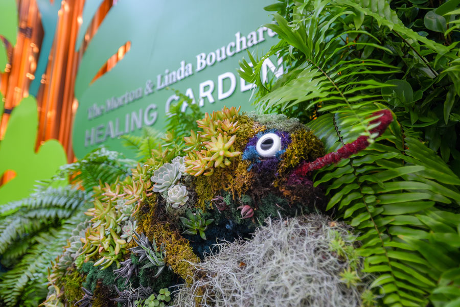 rock with moss and succulents.