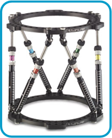 TAYLOR SPATIAL FRAME device